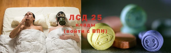 PSILOCYBIN Белокуриха