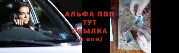дурь Богданович